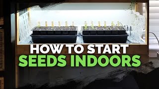 Seed Starting Indoors Under Grow Lights 101 [upl. by Daitzman]