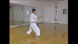 Jion  Efthimios Karamitsos  Karate Shotokan Kata [upl. by Coralyn]