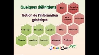 Quelques définitions  Notion de l’information génétique [upl. by Birdella]