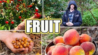 8 Tips For Growing FRUIT TREES Organic Gardening [upl. by Turnbull]