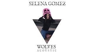 Selena Gomez  Wolves Acoustic [upl. by Parent]