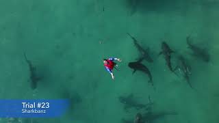 Sharkbanz Research Test Highlights  Bull Shark Deterrent [upl. by Langbehn702]