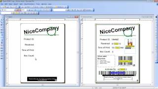 NiceLabel Pro  Label Design Training Video [upl. by De Witt]