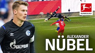 Alexander Nübel  Top 5 Saves 201920 [upl. by Mercy377]