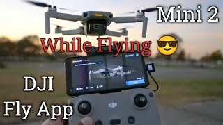 DJI Mini 2 App Functions Camera amp Controller for Beginners [upl. by Hernardo]