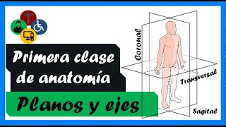 PRIMERA clase de ANATOMIA  PLANOS Y EJES anatómicos [upl. by Mahalia434]