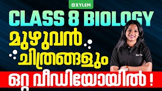 Class 8 Biology  മുഴുവൻ ചിത്രങ്ങളും ഒറ്റ വിഡിയോയിൽ  Xylem Class 8 [upl. by Yelrihs]