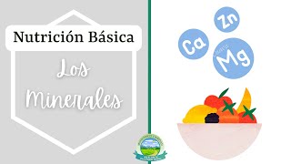 Los Minerales  Nutricion Basica [upl. by Tocs436]