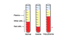 Blood3Hematocrit PCV [upl. by Fusuy]