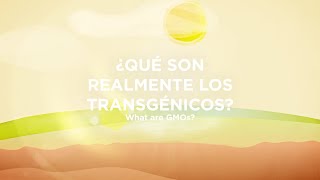 Ciencia animada UPM Qué son los transgénicos [upl. by Hew]