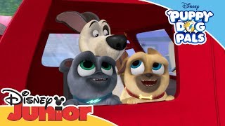 Puppy Dog Pals  Fire Truck Time Song  Official Disney Channel Africa [upl. by Deborath]