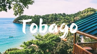 TOBAGO  TOP 10 THINGS to See amp Do  Travel Guide [upl. by Traggat]