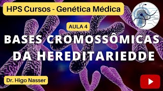 AULA 4  Bases Cromossômicas da Hereditariedade medicina genética genoma educação enem aulas [upl. by Yuille395]