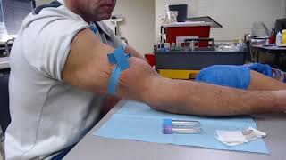 Best Practices Straight Needle Venipuncture [upl. by Leopoldeen]