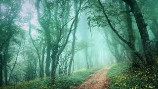 Ancient Forest • Calming Fantasy Music for Sleep amp Relaxation [upl. by Einitsed]