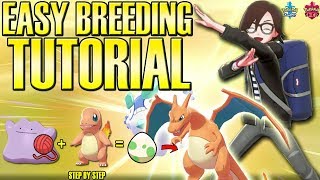 How to Breed Pokemon FULL GUIDE  Perfect IV Competitive Tutorial Sword and Shield [upl. by Chilt]