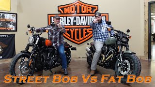 STREET BOB VS FAT BOB  2021  HARLEY DAVIDSON  BAJA ORANGE ON VIVID BLACK  DEADWOOD GREEN [upl. by Brag]