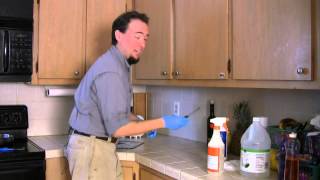 How to Rid a House of Roaches amp Eggs [upl. by Wappes911]