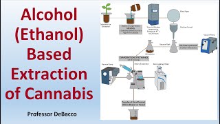 Alcohol Ethanol Based Extraction of Cannabis [upl. by Surazal]