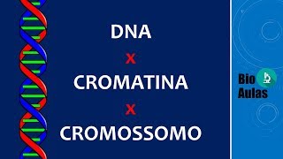 DNA Cromatina e Cromossomo Diferenças Biologia Molecular  Bio Aulas [upl. by Octave]