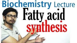 Fatty acid synthesis [upl. by Yleve478]