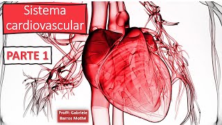 SISTEMA CARDIOVASCULAR  parte 1 anatomia veterinária [upl. by Aleek]