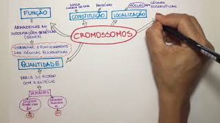 Cromossomos [upl. by Gaves]