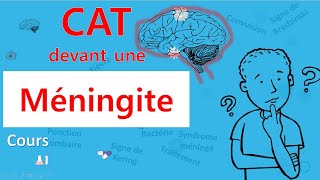 Méningite🙄 cest quoi la CAT 🤔  Cours  Infectiologie [upl. by Baalbeer]