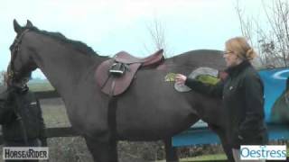 The Mares Oestrus Cycle Part 3  HorseandRider UK [upl. by Ettenahs]