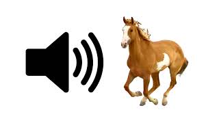 Horse  Sound Effect [upl. by Paul]