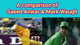 Saeed Anwar vs Mark Waugh  career comparison [upl. by Errot]