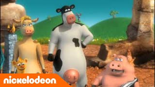 La Ferme en folie  La cérémonie Porc  Nickelodeon France [upl. by Wu407]