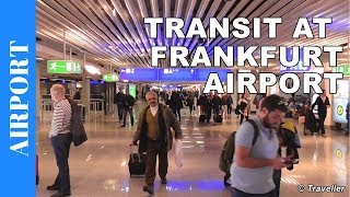 TRANSIT WALK AT FRANKFURT Airport FRA Terminal 1  Connection Flight Transfer Arriving amp Departing [upl. by Steen627]