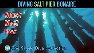 Diving Salt Pier Bonaire  The Shore Dive Collection  TropicLens  4K [upl. by Valeda545]