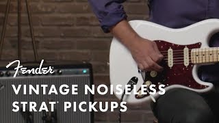 Vintage Noiseless Pickups  Fender [upl. by Coco954]