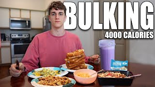 4000 Calorie Full Day of Eating  BULKING Meal Prep [upl. by Leikeze309]