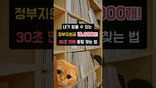 정부지원사업 10000개 30초만에 찾는 법정부24 보조금24 [upl. by Pelagias]