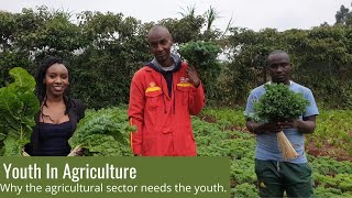 Youth And Agriculture [upl. by Gardy220]