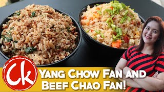 RESTAURANT SERIES 4 Chowking Yang Chow Fan and Beef Chao Fan [upl. by Tobit]