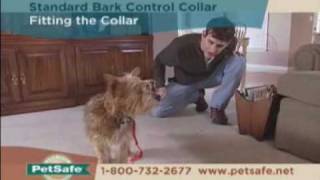 PetSafe Standard Bark Control Collar Tips [upl. by Scevo583]