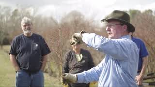 HandsOn Blueberry Pruning Workshop North Carolina [upl. by Odnumyar]