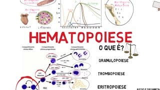 Hematopoiese [upl. by Arakihc]