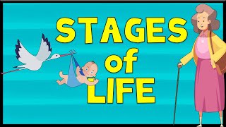 Stages of Life  Vocabulary  Minimal English [upl. by Earal]