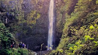 Walking Madeira  quotCaldeirão Verdequot levada walk [upl. by Aivax]