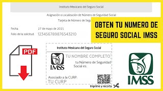 Cómo OBTENER mi NSS Número de Seguro Social RÁPIDO Y SIN FILAS  IMSS 2021 TARJETA de NSS [upl. by Eugenle]