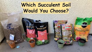 Four Top Succulent Soil Comparison [upl. by Fransen279]