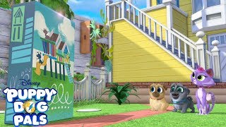 Boxing Day  Playtime with Puppy Dog Pals  Disney Junior [upl. by Nileve321]