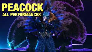 Peacock All Performances amp Reveal Masked Singer [upl. by Irah]