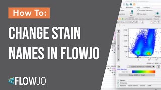 Change Stain Name in FlowJo [upl. by Callery]