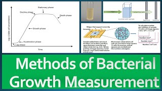 Growth Measurement Methods [upl. by Anar]